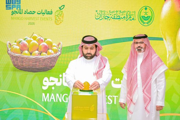 أمير منطقة جازان يُطلق فعاليات حصاد المانجو 2026