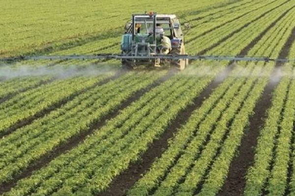 مكناس.. المعهد الوطني للبحث الزراعي يضع نتائج أبحاثه رهن إشارة التعاونيات لتثمين المنتوجات الفلاحية