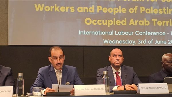 وزير العمل: القضية الفلسطينية أصبحت اختبارا حقيقيا لضمير العالم