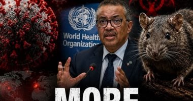 الصحة العالمية: هناك مخاوف من تكرار سيناريو كورونا وارتفاع وفيات فيروس هانتا