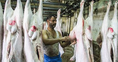 4 سلوكيات ذكية أثناء شراء اللحوم تضمن لك الجودة وتحميك من الفساد التجارى