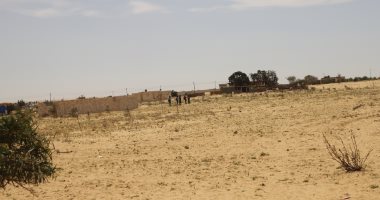 حالة الطقس اليوم فى شمال سيناء.. جو ربيعى متقلب نسبيا