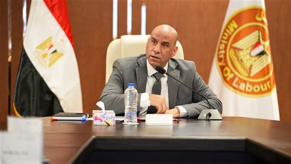 وزير العمل: الدولة نجحت في توفير أكثر من مليون فرصة عمل خلال عام واحد