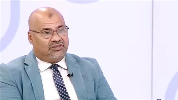 غدا أولى جلسات نظر طعن “التعليم المفتوح” على تعديلات لائحة تنظيم الجامعات
