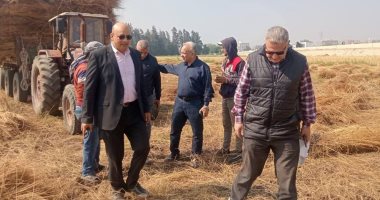 رئيس قطاع الخدمات يتابع حصاد القمح بالغربية