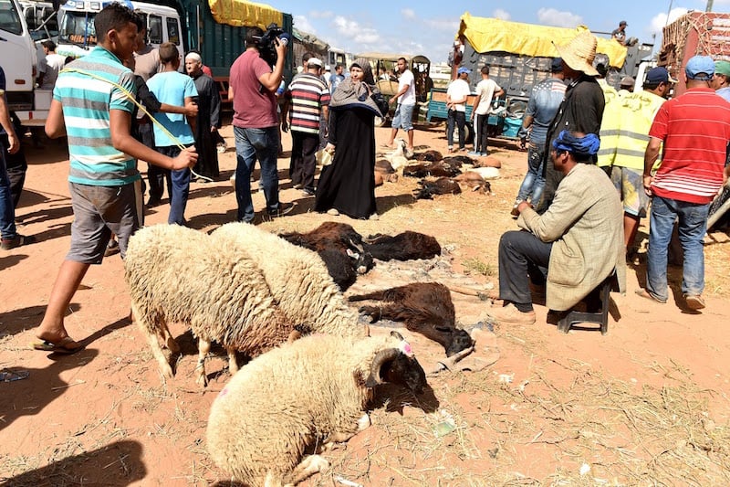 لفائدة الكسابة الصغار.. مطالب برلمانية بإلغاء رسوم استغلال أسواق بيع الأضاحي