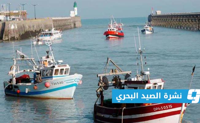 «الأرصاد» يحذر من رياح نشطة على الساحل الغربي