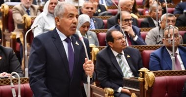 وكيل مجلس الشيوخ: تعديل قانون الشركات ضرورة لمواكبة التطورات الاقتصادية