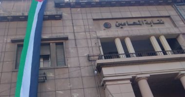 غدًا.. انطلاق جولة الإعادة للمرحلة الثانية من انتخابات النقابات الفرعية للمحامين