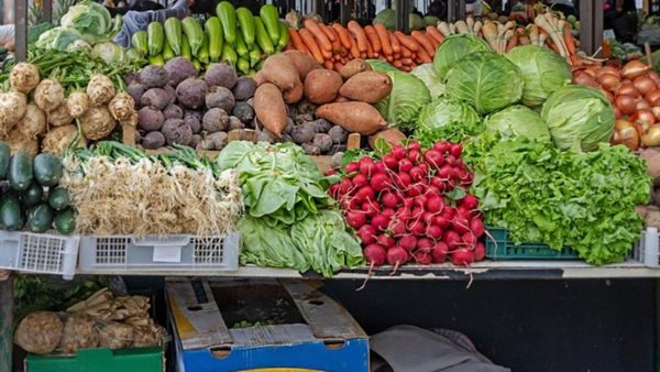سعر الخضار اليوم، ارتفاع الطماطم والثوم وانخفاض الفلفل والخيار