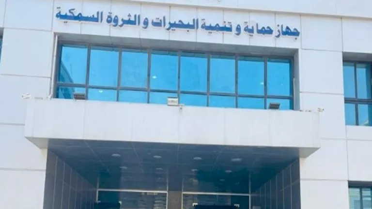 "حماية البحيرات": تطوير منظومة الاستزراع السمكي لزيادة الإنتاج
