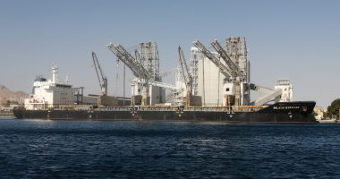 تداول 22 ألف طن و1248 شاحنة بضائع عامة ومتنوعة بموانئ البحر الأحمر