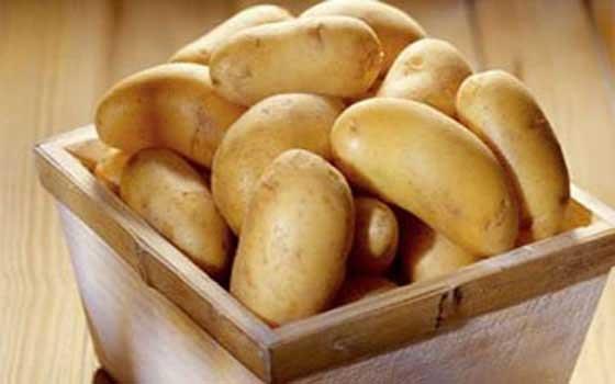 البطاطا وإنقاص الوزن.. فوائد صحية وشروط لا بد من الالتزام بها