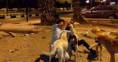 كلب يعقر طفلا أثناء لهوه بحديقة فى الشيخ زايد