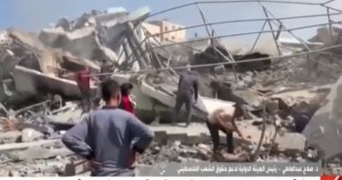 هيئة دعم فلسطين: مصر تلعب دورا محوريا في وساطات وقف إطلاق النار