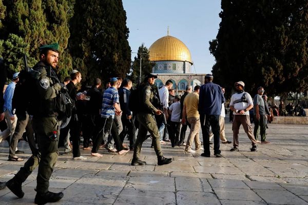 144 مستوطنا يقتحمون المسجد الأقصى المبارك وسط حماية جنود الاحتلال