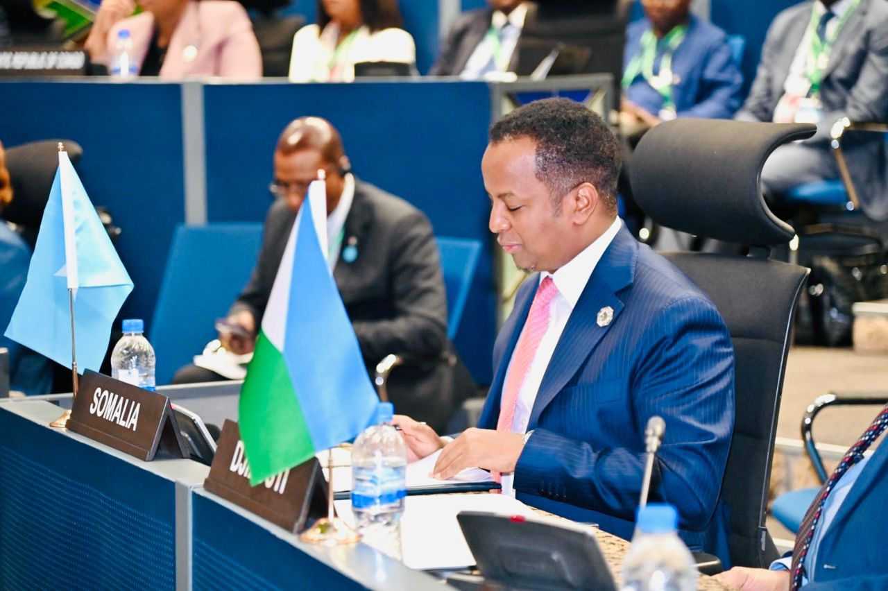 وزير الخارجية يشارك في جلسة لمجلس السلم والأمن الإفريقي حول الصومال والسودان