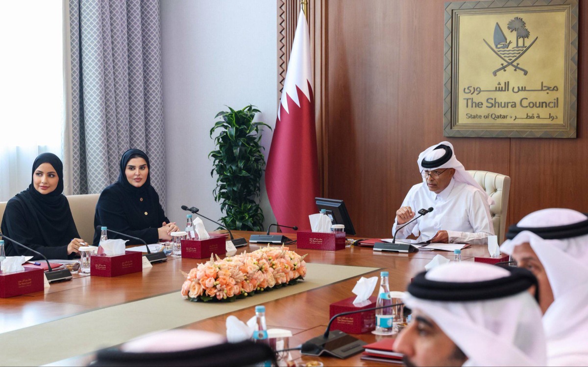 ‫ تواصل أعمال الجلسات التشاورية بشأن خطة العمل الوطنية لحقوق الإنسان