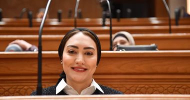 عضو خارجية النواب: استهداف ناقلة إماراتية فى مضيق هرمز تصعيد خطير