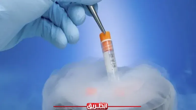 هل توجد فرص للحمل بعد استخدام البويضات المجمدة؟.. أستاذ أمراض نساء يجيب