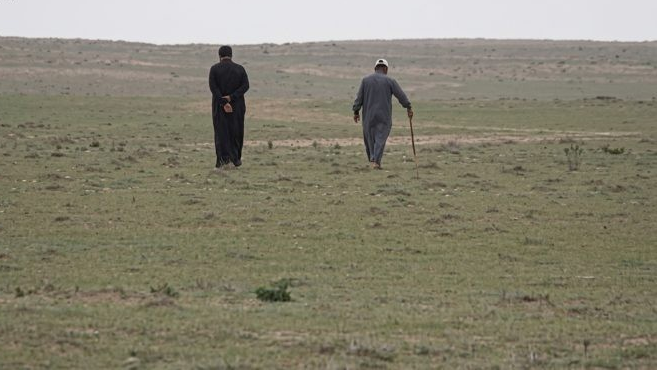 مع بدء موسم جني الكمأة.. مقتل 5 أشخاص بانفجار ألغام في ريف دير الزور