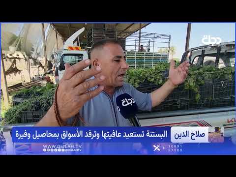 عودة عرش البستنة.. كيف أصبحت صلاح الدين سلة العراق؟