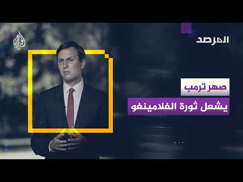 المرصد - صهر ترمب يشعل ثورة الفلامينغو