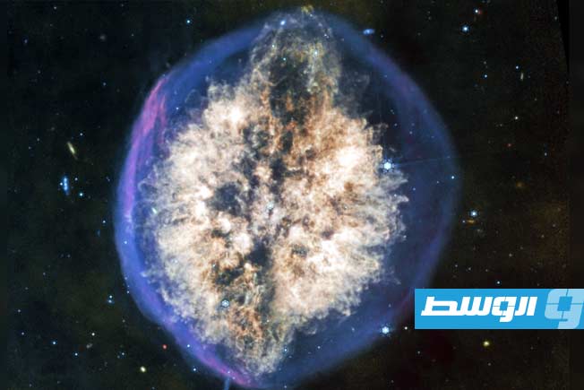 تلسكوب جيمس ويب يلتقط صورة مذهلة لسديم يشبه دماغاً بشرياً مكشوفاً في الفضاء