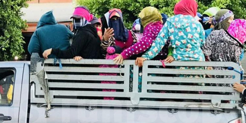 باجة تفرّح عاملات الفلاحة: تنظيم جديد يحسّن النقل والخدمة