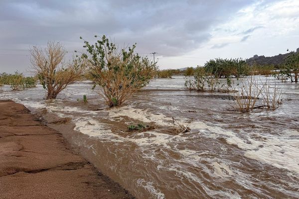 "البيئة": 24 محطة ترصد هطول أمطار في 6 مناطق خلال 24 ساعة