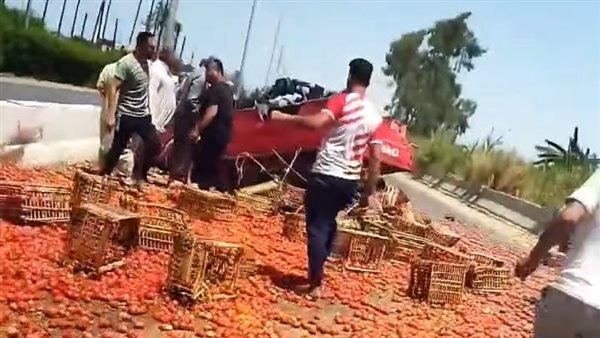انقلاب سيارة محملة بالطماطم على طريق كفر الزيات