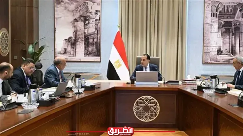 رئيس الوزراء يتابع تنفيذ 105 مشروعات لتدعيم الشبكة القومية للكهرباء