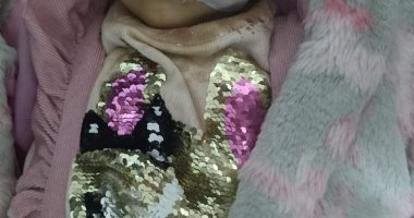 طفلة تتعرض لهجوم من أسد أثناء التقاط صور فى السيرك القومى