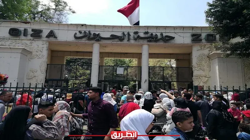 66 ألف زائر في 3 أيام.. حدائق الحيوان تكسر الأرقام القياسية