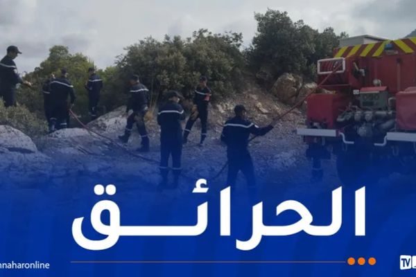 اندلاع حرائق عبر عدة ولايات من الوطن