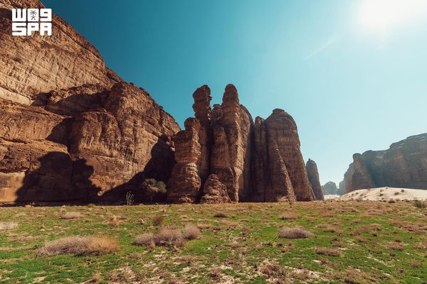 العُلا ترسم نموذجًا عالميًا لاستعادة النظم البيئية ورفع الغطاء النباتي