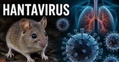 جدل حول فيروس هانتا.. أطباء يكشفون الخرافات ويصححون المفاهيم