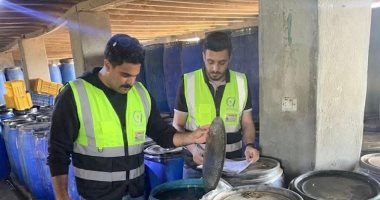 ضبط 10 أطنان مخللات داخل مصنع غير مرخص فى الغربية