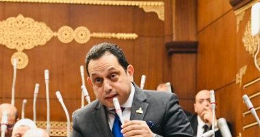 نائب: توجيهات الرئيس بحزمة اجتماعية قبل رمضان لتخفيف الأعباء عن المواطن