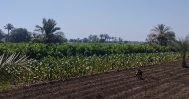 9 حالات يجوز فيها التصالح طبقا لقانون البناء