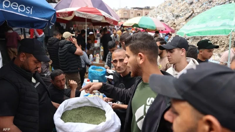 الحرب تغيّر كل شيء.. الملوخية تتحول إلى سجائر في غزة