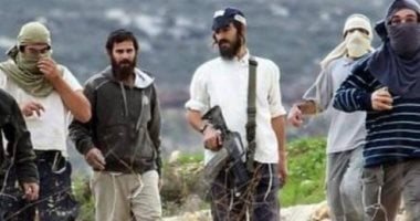 تقرير فلسطينى: 1965 اعتداء نفذها الجيش والمستوطنون فى فبراير الماضى
