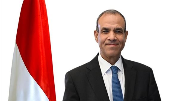 مصر تدين الهجمات الإرهابية في مالي