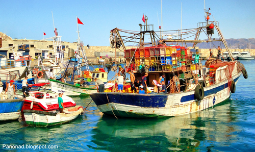 تراجع حاد في مفرغات الصيد بميناء الحسيمة بنسبة 54 في المائة