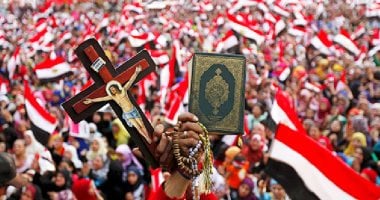 ماهر فرغلى: ثورة 30 يونيو أسقطت الرهان الغربى على الإخوان وأنقذت مصر من التقسيم