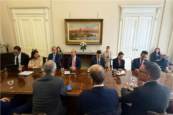 وزير المالية: أداء الاقتصاد المصري جيد.. وسنحقق مستهدفاتنا رغم التحديات العالمية