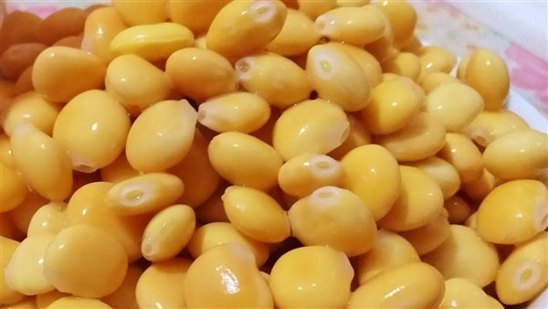 طريقة عمل الترمس المر، أشهر وأقدم المقبلات في العيد
