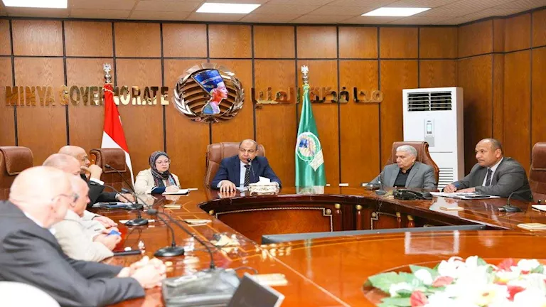 شركة عالمية تستعد لإنشاء مصنع لضفائر السيارات بالمنيا (تفاصيل)