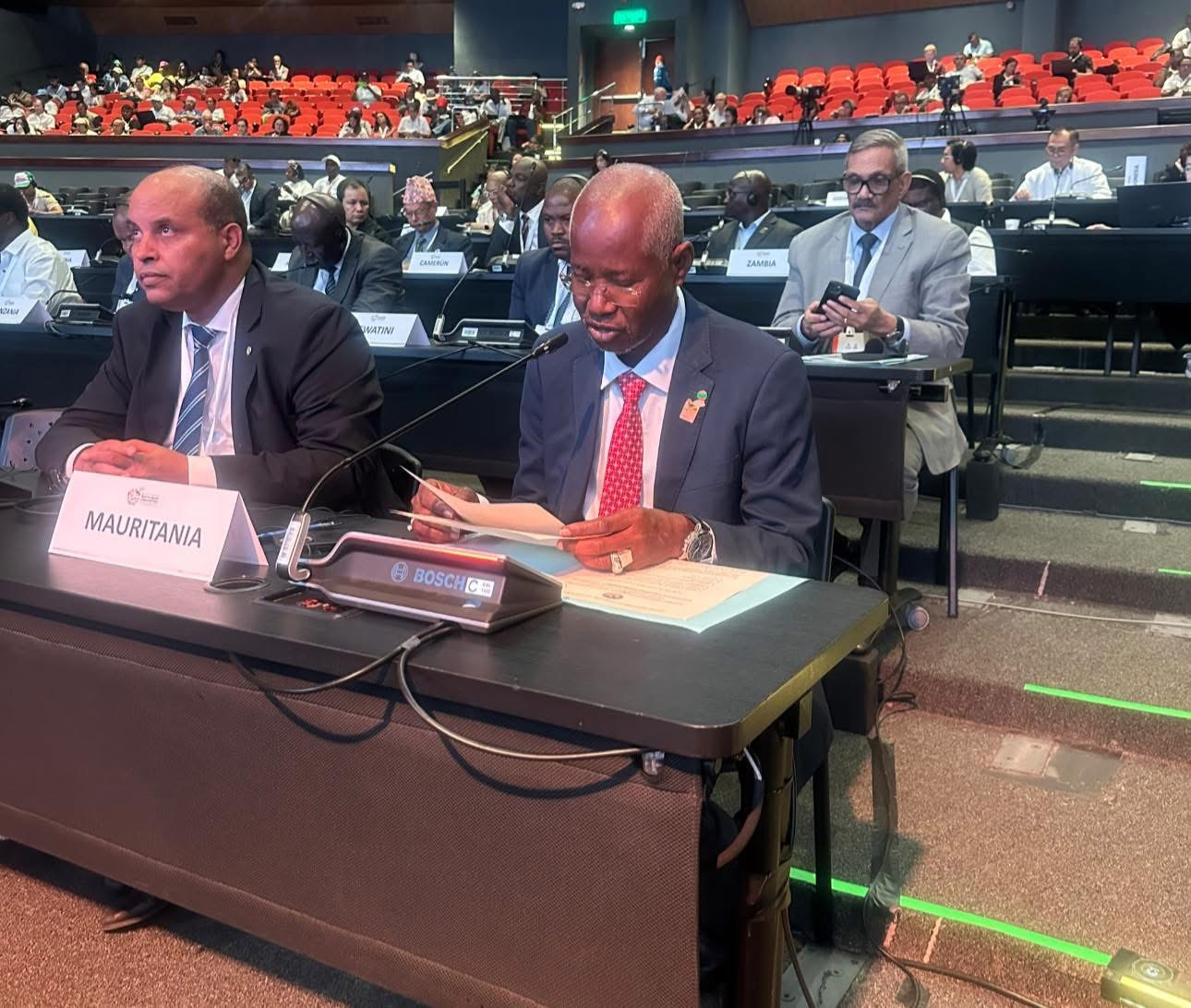 انيانغ: مواجهة تحديات الاستثمار في الأراضي تتطلب تنسيقًا دوليا