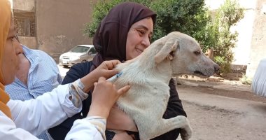 الجيزة تحاصر الكلاب الضالة.. تحصين 7674 وتعقيم 1294 كلب بشلتر إمبابة